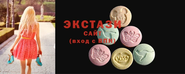 хмурый Каменка