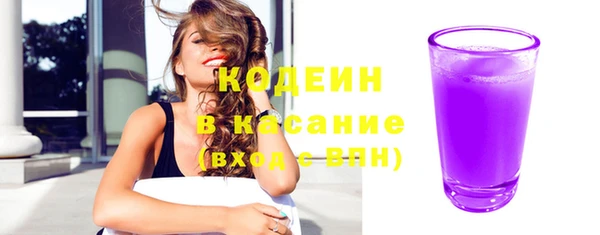 хмурый Каменка