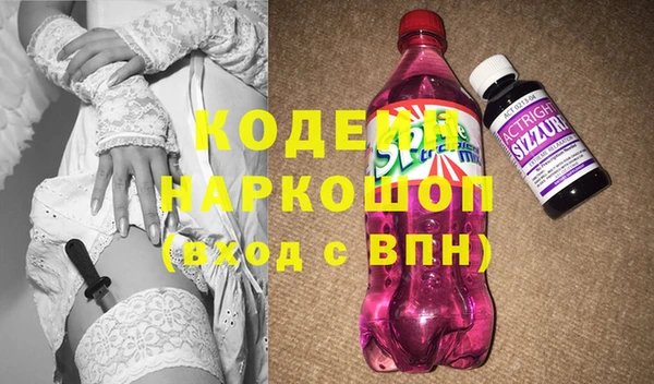 хмурый Каменка