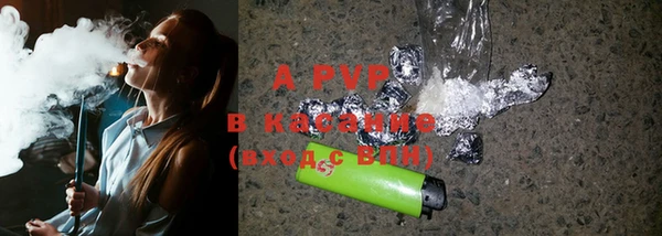 хмурый Каменка