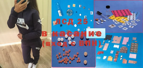 хмурый Каменка