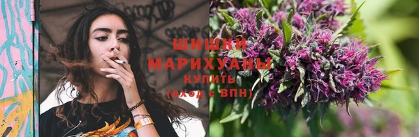 хмурый Каменка