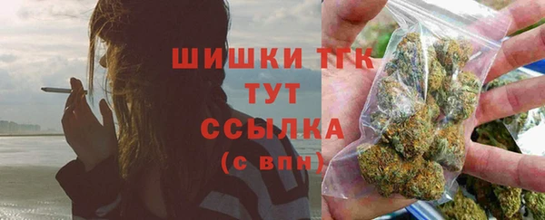 хмурый Каменка