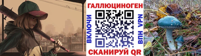 Галлюциногенные грибы Psilocybe  Купить закладки  Десногорск 